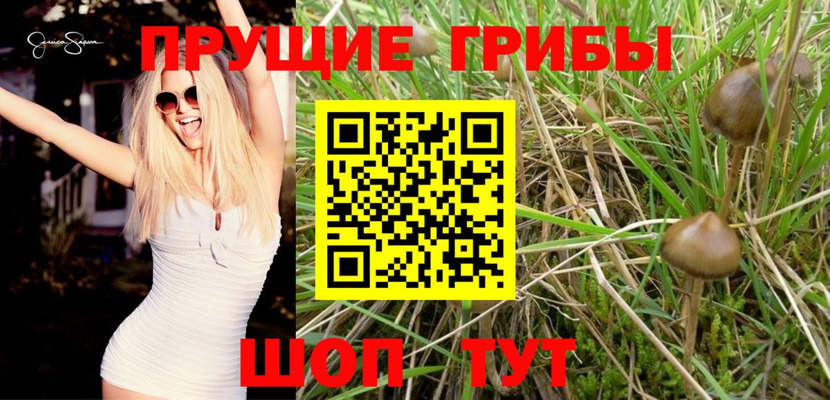 где можно купить наркотик  Галлюциногенные грибы Cubensis  Десногорск  Вход с VPN  Псилоцибиновые грибы ЛСД 